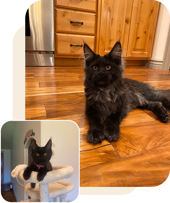 Frame 2095584982 (1)