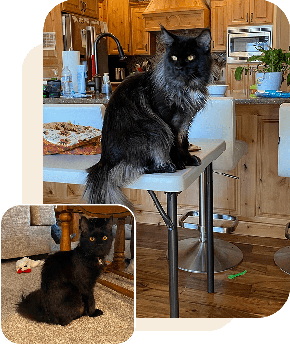 Frame 2095584982 (2)